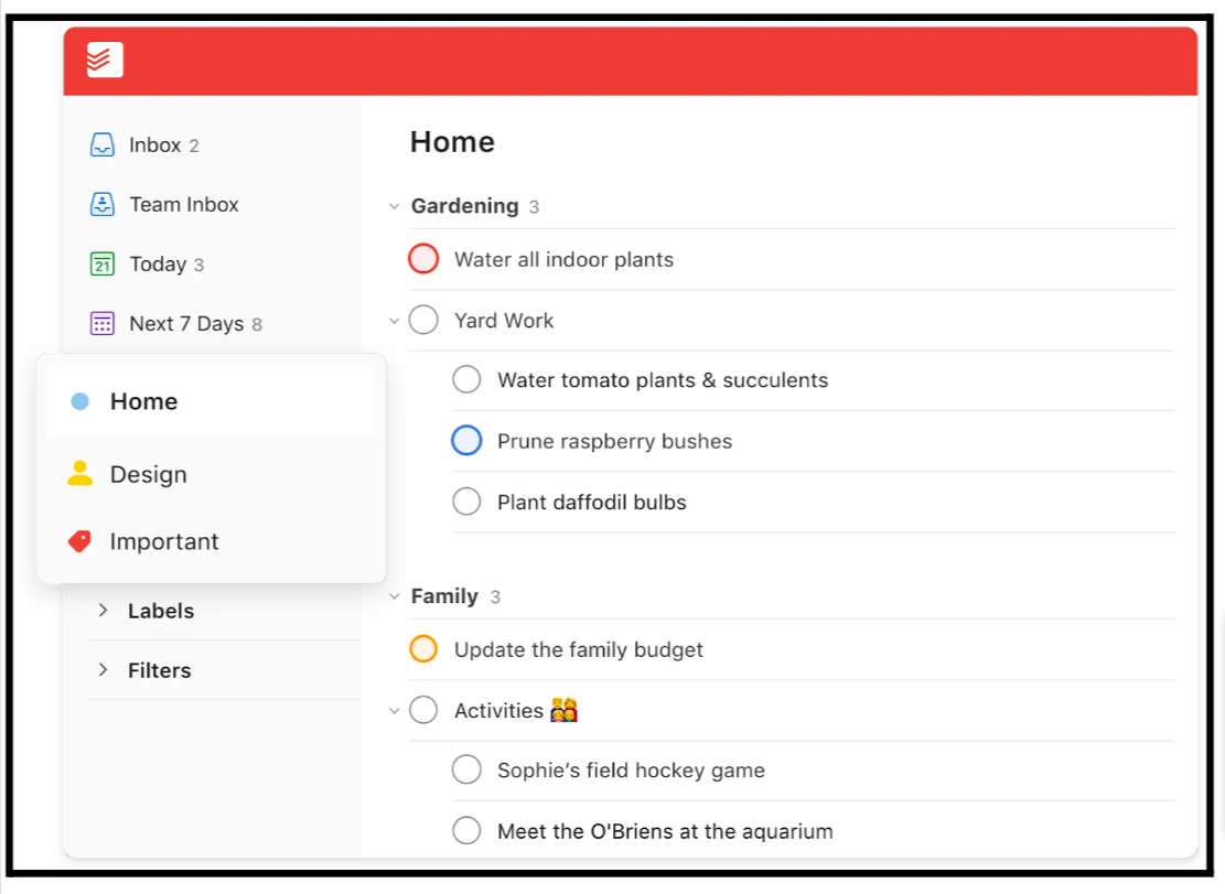 Project Organization with Sections and Sub-tasks